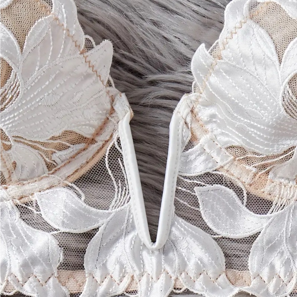 IZA Lotus Ivory Satin Embroidered Over Sheer Mesh Deep V Bustier Bra & Panties - Picture 10 of 15